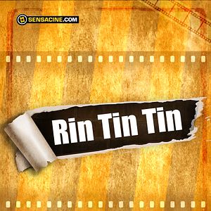 Bilder Rin Tin Tin