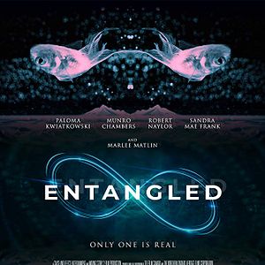 Bilder Multiverse - Parallele Dimensionen