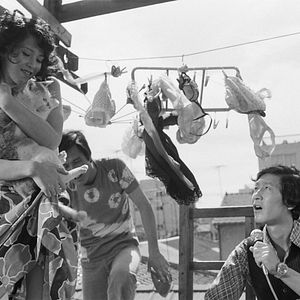 Bilder Black Rose Ascension