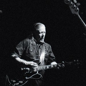 Bilder Swans - Where Does A Body End?