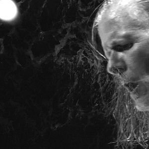 Bilder Swans - Where Does A Body End?