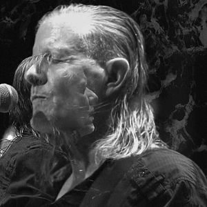 Bilder Swans - Where Does A Body End?