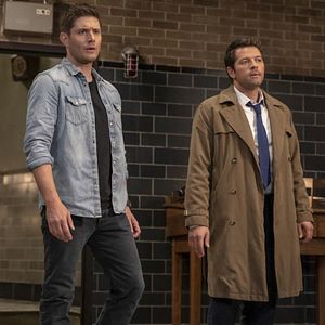 Bilder Misha Collins