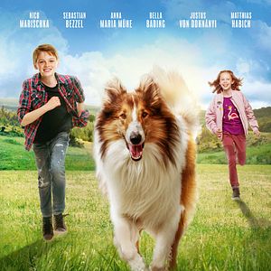 Bilder Lassie - Eine abenteuerliche Reise