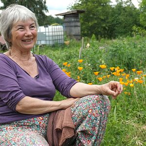 Bilder En Quête D’Autonomie