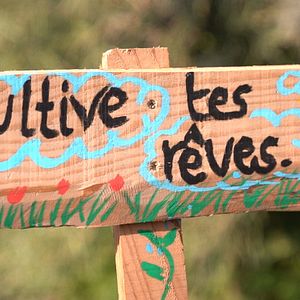 Bilder En Quête D’Autonomie