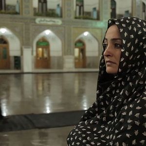 Bilder Finding Farideh