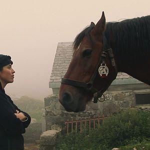 Bilder Plötzlich Heimweh