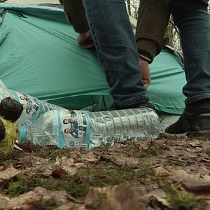 Bilder D’étoile en étoile