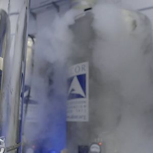 Bilder Eingefroren: Hoffnung auf ein zweites Leben