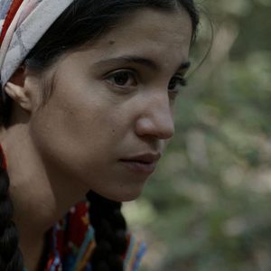 Bilder La Maquisarde