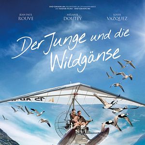 Bilder Der Junge und die Wildgänse