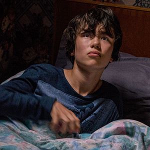 Bilder Der Junge und die Wildgänse