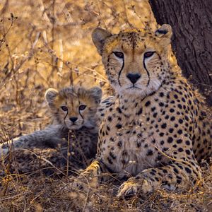 Bilder Mein Vater, mein Sohn und der Kilimandscharo