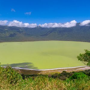 Bilder Mein Vater, mein Sohn und der Kilimandscharo