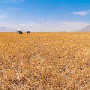 Bilder Mein Vater, mein Sohn und der Kilimandscharo