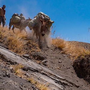 Bilder Mein Vater, mein Sohn und der Kilimandscharo
