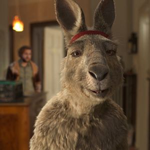 Bilder Die Känguru-Chroniken