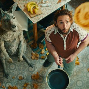 Bilder Dimitrij Schaad