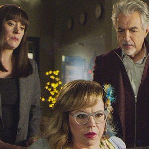 Bilder Kirsten Vangsness