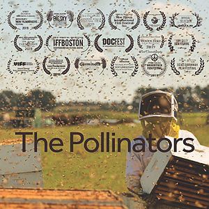 Bilder The Pollinators