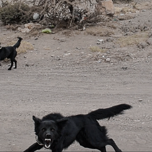 Bilder Besser Welt als nie