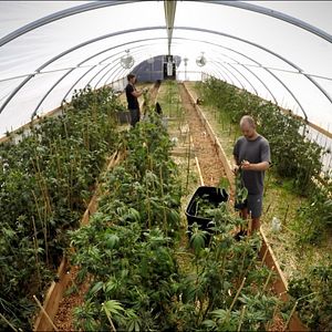 Bilder Besser Welt als nie