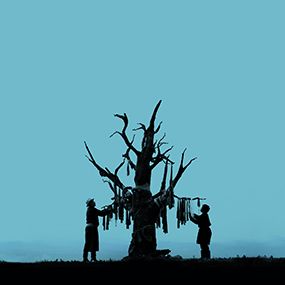 Bilder Die Adern der Welt