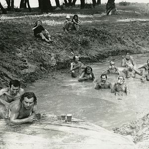 Bilder Tomorrow Pheasant