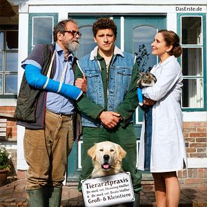 Bilder Viele Kühe und ein schwarzes Schaf