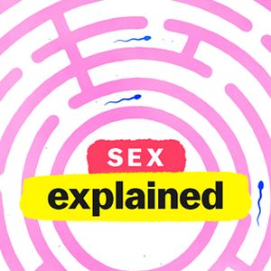 Bilder Sex, Explained