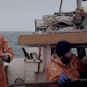 Bilder Small Planets