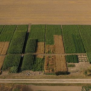 Bilder Anders essen - Das Experiment