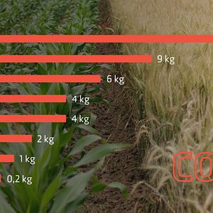 Bilder Anders essen - Das Experiment
