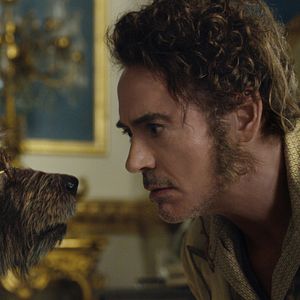 Bilder Robert Downey Jr.