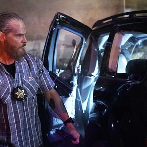 Bilder Brian Van Holt