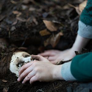 Bilder Brahms: The Boy II