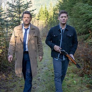 Bilder Misha Collins