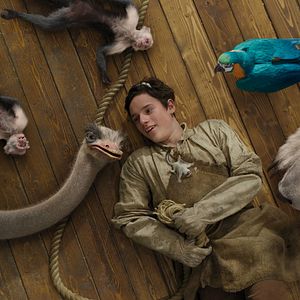 Bilder Harry Collett