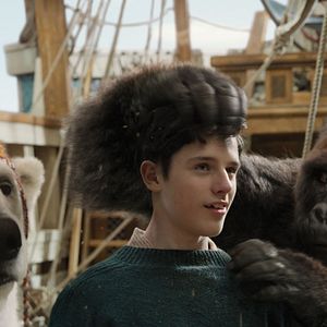 Bilder Harry Collett