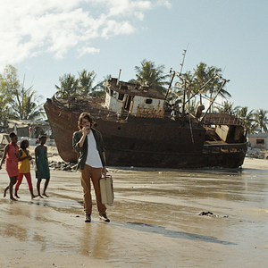 Bilder Um Animal Amarelo