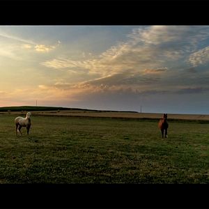 Bilder The Key Of Mind