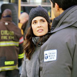 Bilder Torrey DeVitto