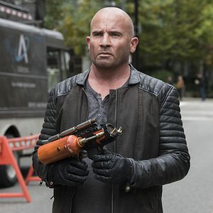 Bilder Dominic Purcell