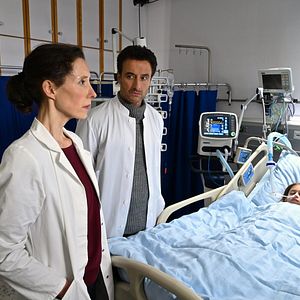 Bilder Frühling - Weihnachtswunder