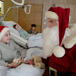 Bilder Frühling - Weihnachtswunder