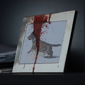 Bilder Kill Me Today, Tomorrow I`m Sick!