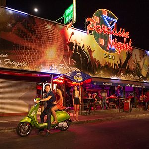 Bilder L'Oiseau De Paradis