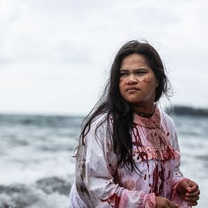 Bilder L'Oiseau De Paradis