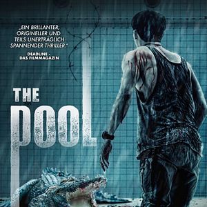 Bilder The Pool